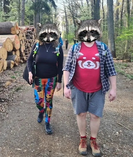 My jsme mývali